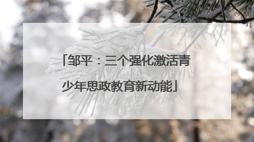 邹平：三个强化激活青少年思政教育新动能