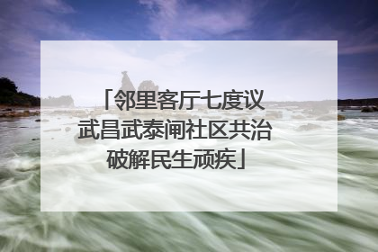 邻里客厅七度议 武昌武泰闸社区共治破解民生顽疾