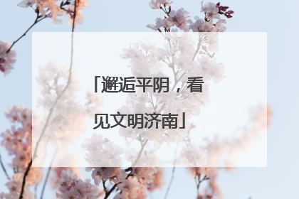 邂逅平阴，看见文明济南