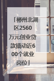 郴州北湖区2560万元创业贷款撬动近600个就业岗位