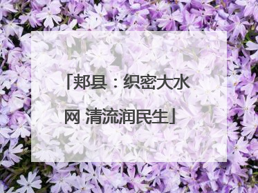 郏县：织密大水网 清流润民生