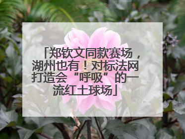 郑钦文同款赛场，湖州也有！对标法网打造会“呼吸”的一流红土球场
