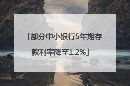 部分中小银行5年期存款利率降至1.2%