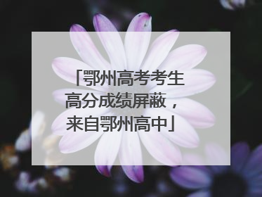 鄂州高考考生高分成绩屏蔽，来自鄂州高中