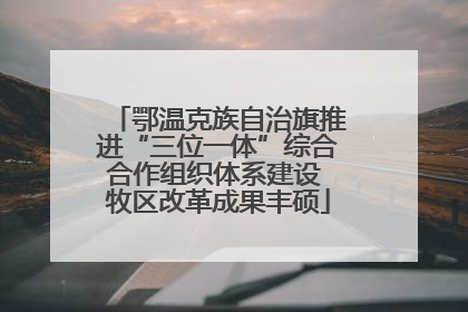 鄂温克族自治旗推进“三位一体”综合合作组织体系建设 牧区改革成果丰硕