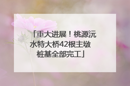 重大进展！桃源沅水特大桥42根主墩桩基全部完工