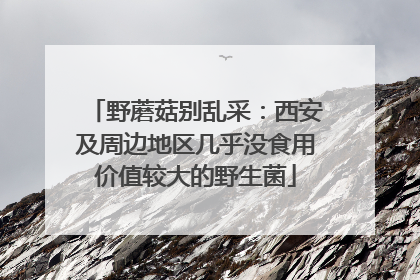 野蘑菇别乱采：西安及周边地区几乎没食用价值较大的野生菌
