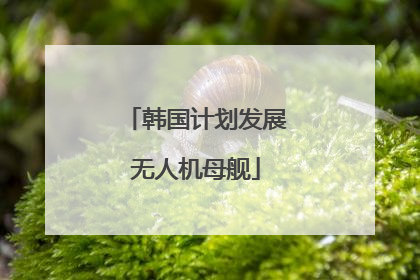 韩国计划发展无人机母舰