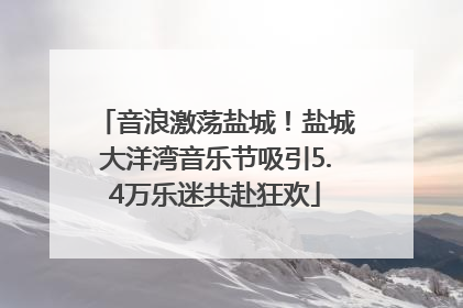 音浪激荡盐城！盐城大洋湾音乐节吸引5.4万乐迷共赴狂欢