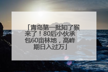 青岛第一批知了猴来了！80后小伙承包60亩林地，高峰期日入过万