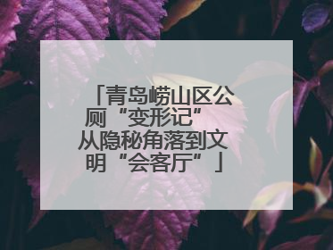 青岛崂山区公厕“变形记” 从隐秘角落到文明“会客厅”