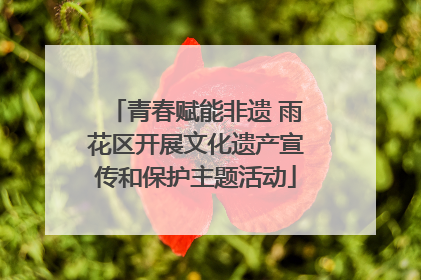 青春赋能非遗 雨花区开展文化遗产宣传和保护主题活动