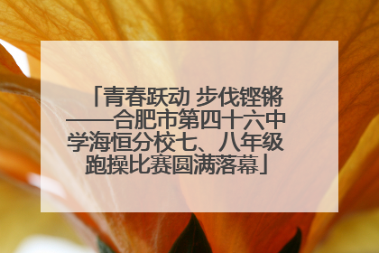 青春跃动 步伐铿锵——合肥市第四十六中学海恒分校七、八年级跑操比赛圆满落幕