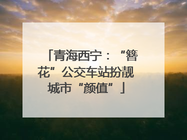青海西宁：“簪花”公交车站扮靓城市“颜值”