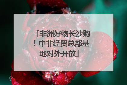 非洲好物长沙购！中非经贸总部基地对外开放