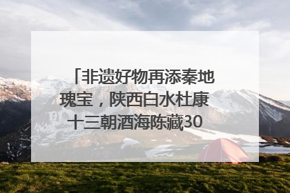 非遗好物再添秦地瑰宝，陕西白水杜康十三朝酒海陈藏30年别具一格