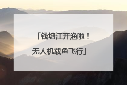 钱塘江开渔啦！无人机载鱼飞行