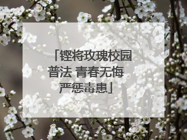 铿将玫瑰校园普法 青春无悔严惩毒患