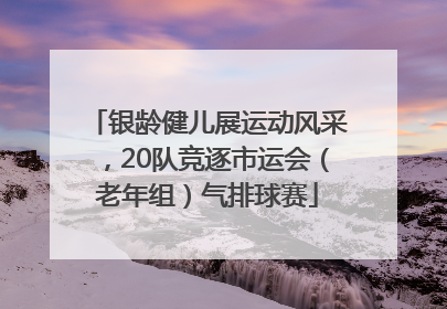 银龄健儿展运动风采，20队竞逐市运会（老年组）气排球赛