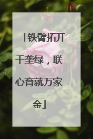 铁臂拓开千垄绿，联心育就万家金