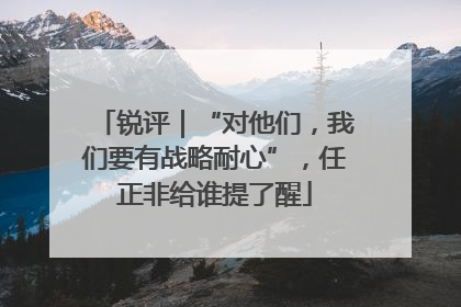 锐评｜“对他们，我们要有战略耐心”，任正非给谁提了醒
