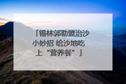 锡林郭勒盟治沙小妙招 给沙地吃上“营养餐”