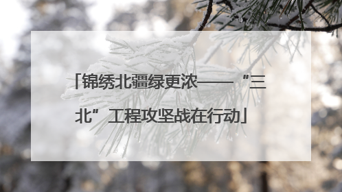 锦绣北疆绿更浓——“三北”工程攻坚战在行动