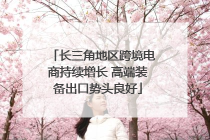 长三角地区跨境电商持续增长 高端装备出口势头良好