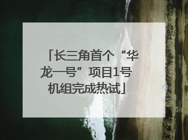 长三角首个“华龙一号”项目1号机组完成热试