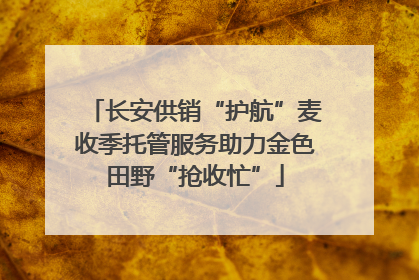 长安供销“护航”麦收季托管服务助力金色田野“抢收忙”