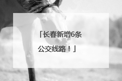 长春新增6条公交线路！