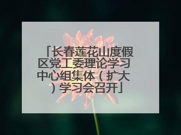长春莲花山度假区党工委理论学习中心组集体（扩大）学习会召开