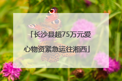 长沙县超75万元爱心物资紧急运往湘西