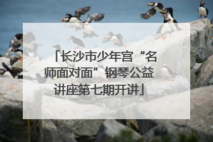 长沙市少年宫“名师面对面”钢琴公益讲座第七期开讲