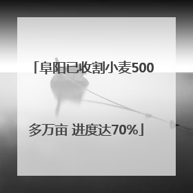 阜阳已收割小麦500多万亩 进度达70%