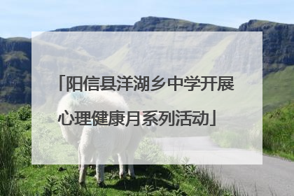 阳信县洋湖乡中学开展心理健康月系列活动