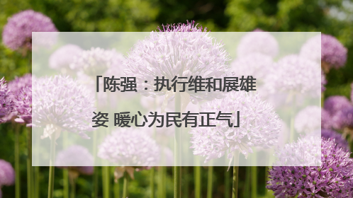陈强：执行维和展雄姿 暖心为民有正气