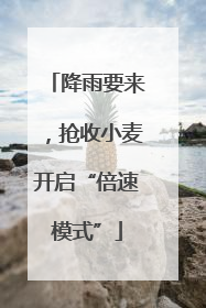 降雨要来，抢收小麦开启“倍速模式”
