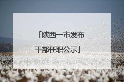 陕西一市发布干部任职公示