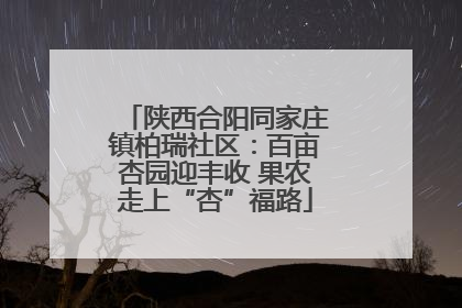 陕西合阳同家庄镇柏瑞社区：百亩杏园迎丰收 果农走上“杏”福路