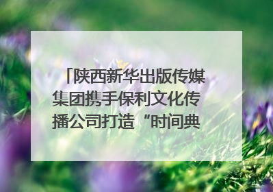 陕西新华出版传媒集团携手保利文化传播公司打造“时间典藏”数字艺术馆