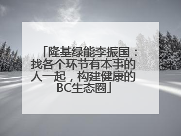 隆基绿能李振国：找各个环节有本事的人一起，构建健康的BC生态圈