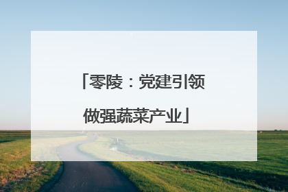 零陵：党建引领 做强蔬菜产业