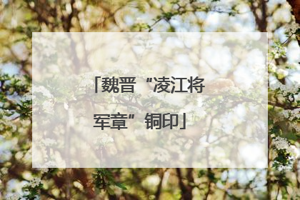 魏晋“凌江将军章”铜印