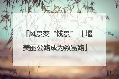 风景变“钱景” 十堰美丽公路成为致富路
