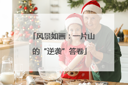 风景如画：一片山的“逆袭”答卷