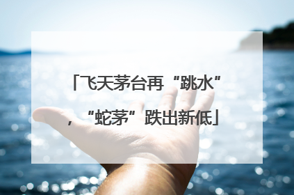 飞天茅台再“跳水”，“蛇茅”跌出新低