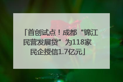 首创试点！成都“锦江民营发展贷”为118家民企授信1.7亿元