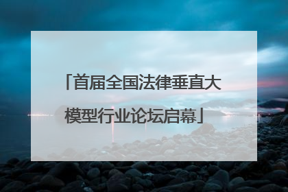 首届全国法律垂直大模型行业论坛启幕