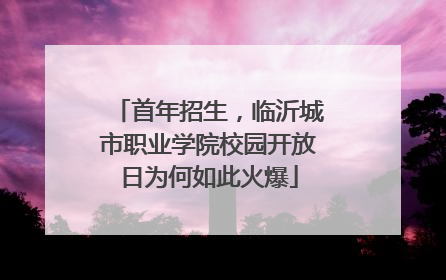 首年招生，临沂城市职业学院校园开放日为何如此火爆